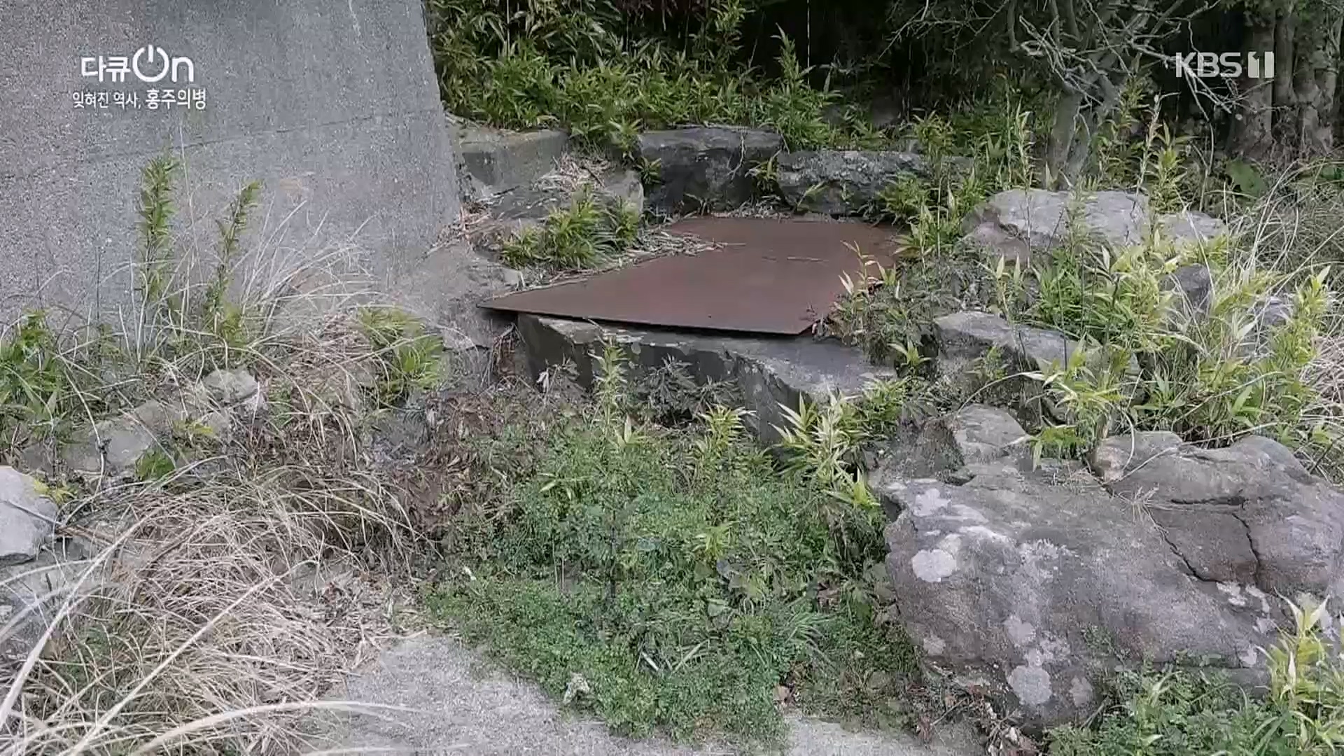 다큐 On.E187.230224p.H264-F1RST.mp4_20230225_174659.582.jpg