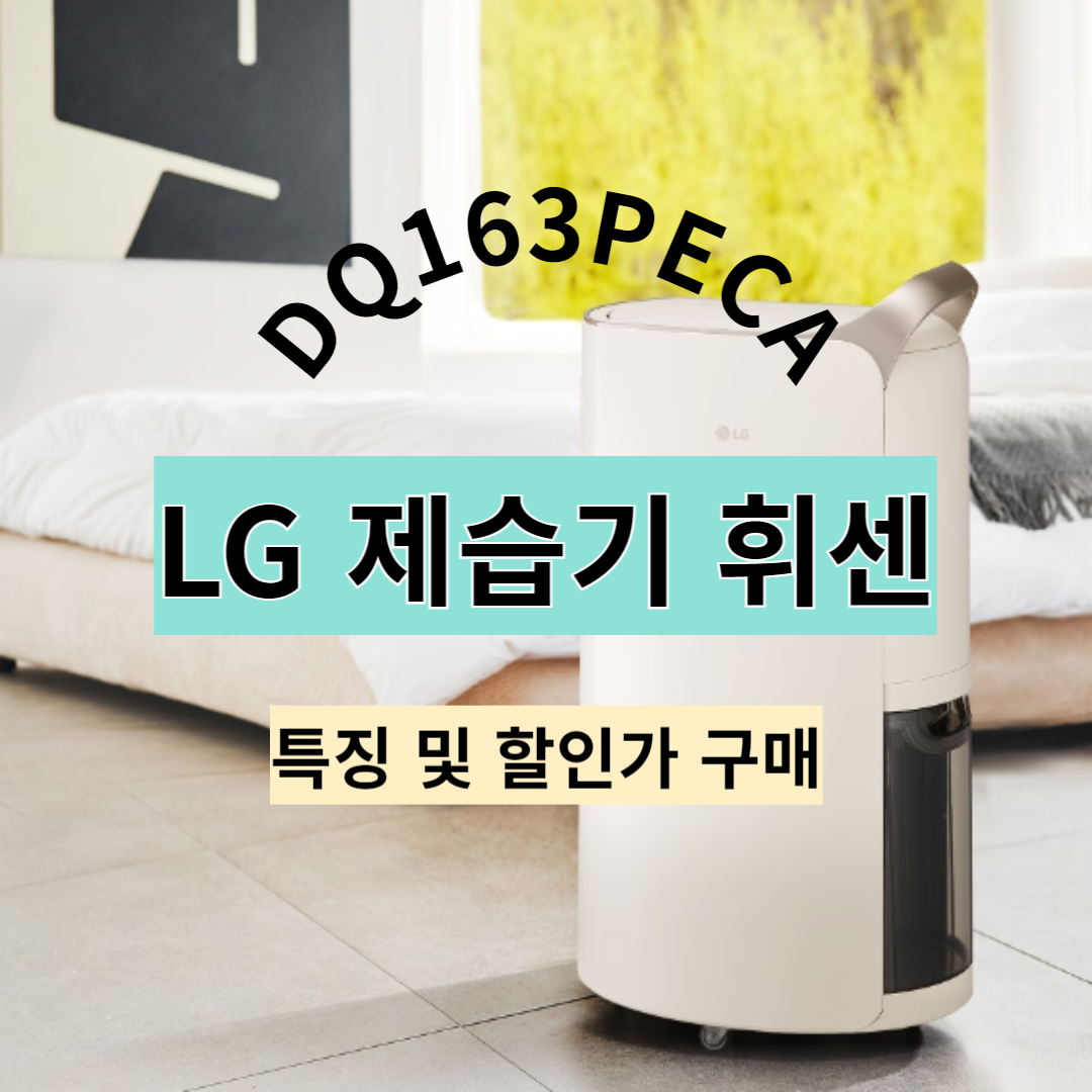 LG 제습기 DQ163PECA