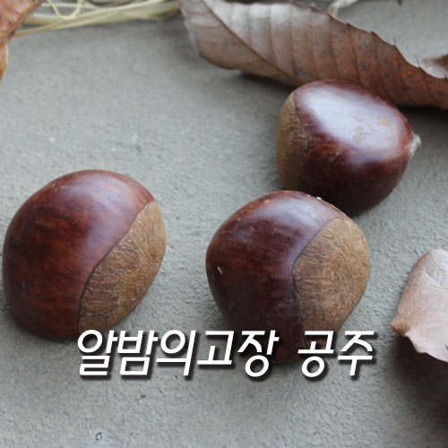  공주밤 맛이 없나요?