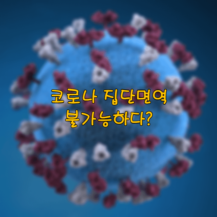 코로나-집단면역