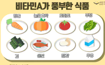 비타민A가-풍부한-음식-사진