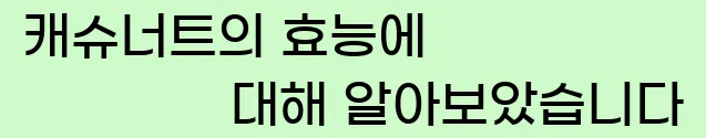  캐슈너트의 효능에 대해 알아보았습니다