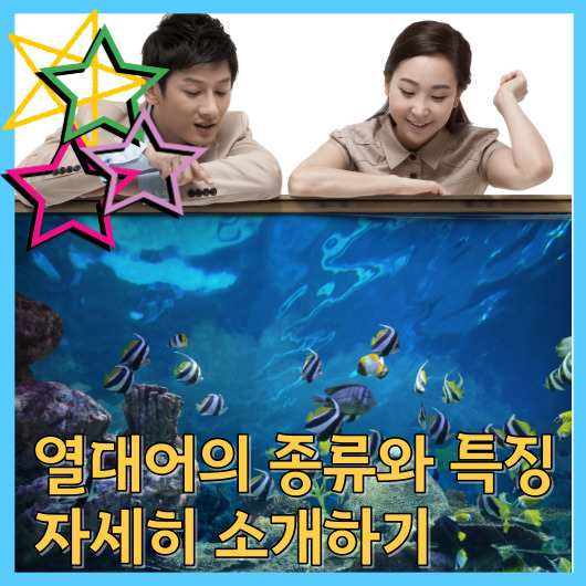  열대어의 종류와 특징 자세히 소개하기