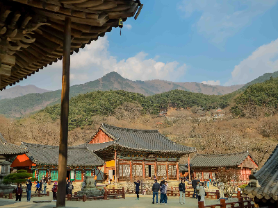 화엄사-넓게본모습