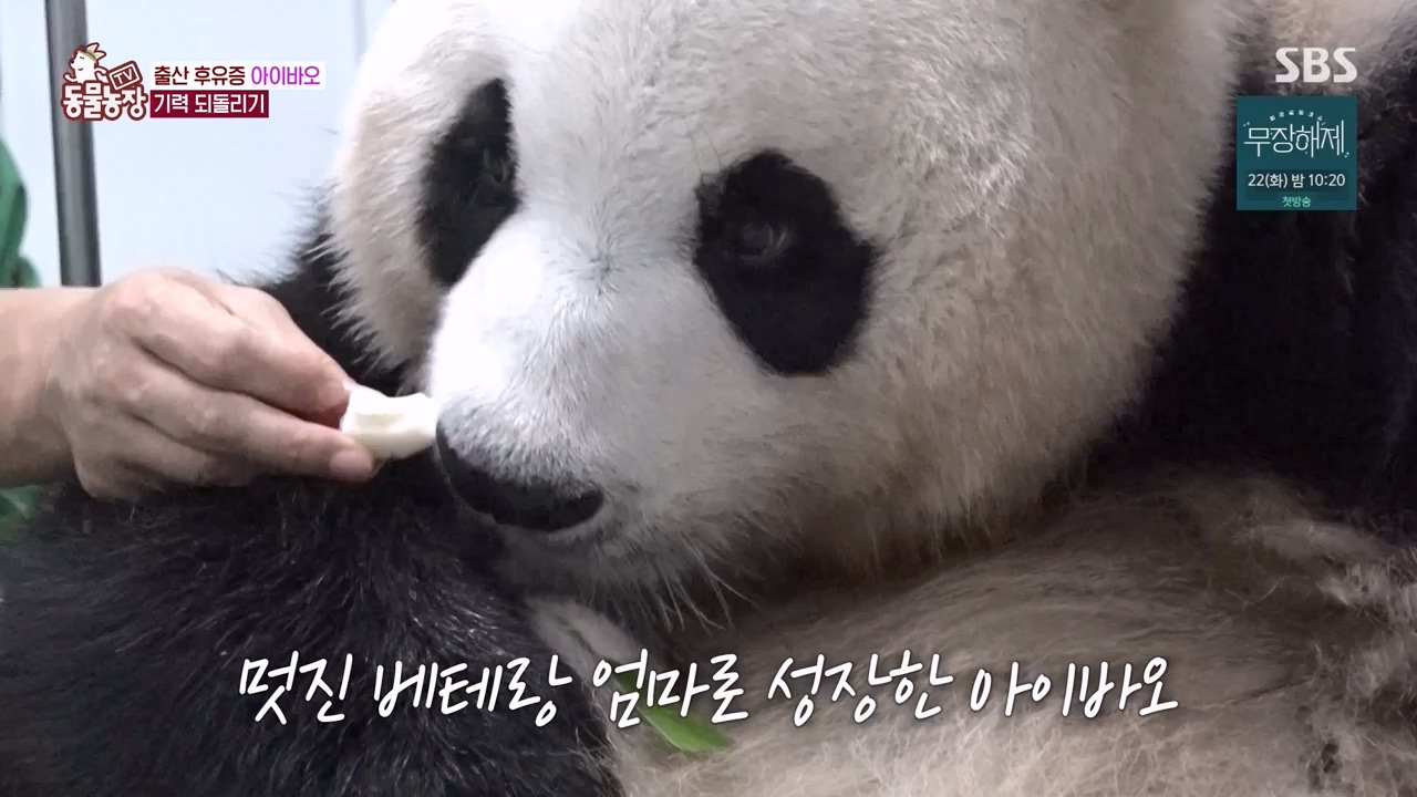 TV 동물농장.E1133.230814p-NEXT.mp4_20230813_171345.939.jpg