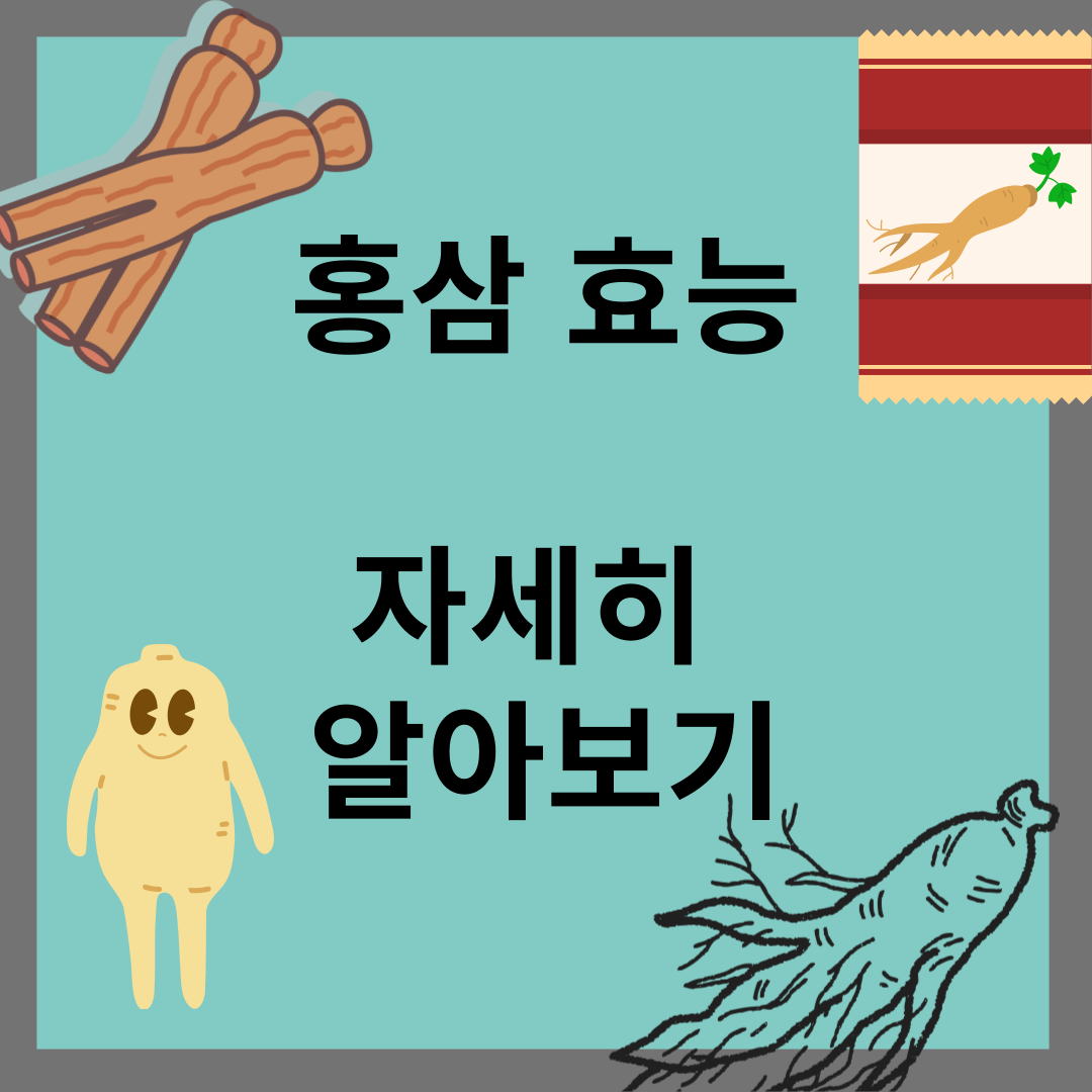 홍삼 효능