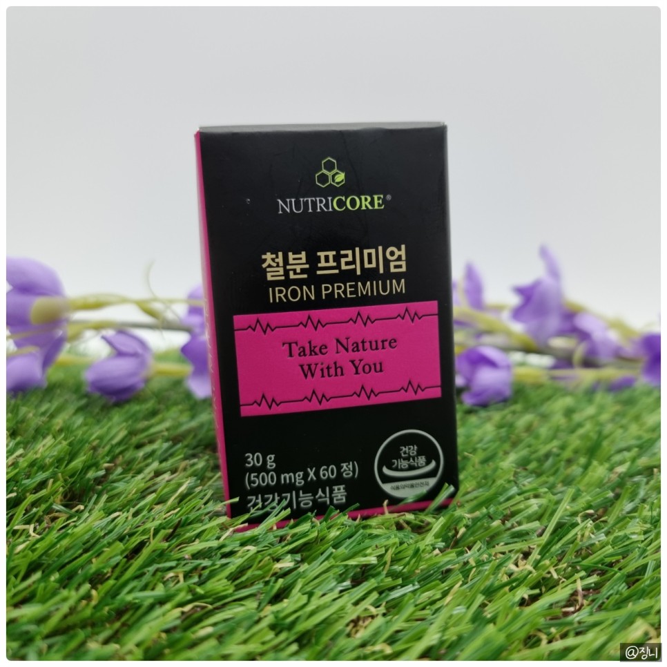 변비없는철분제 12