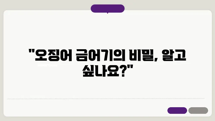 오징어 금어기