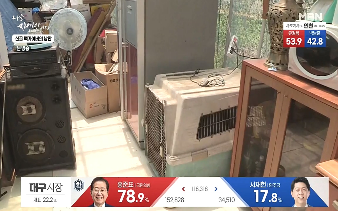 나는 자연인이다.E504.220602p-NEXT.mp4_20220602_201452.385.jpg