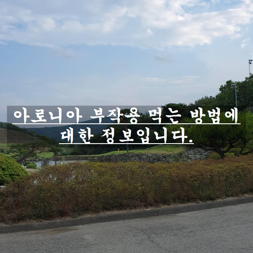 이것은 아로니아의 부작용을 먹는 방법에 대한 정보입니다.