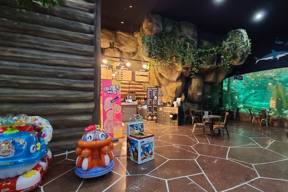 부천 아쿠아리움 부천 아쿠아리움먹이주기 체험 1