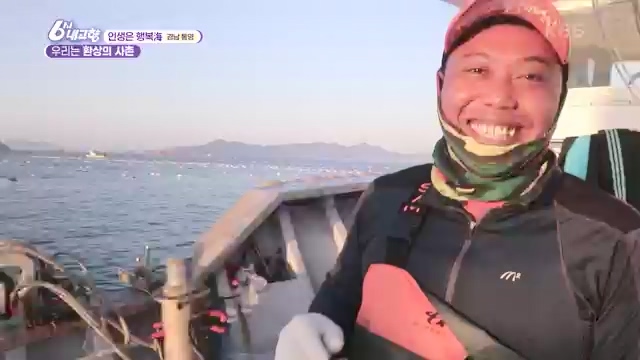 6시 내고향_김장의 필수품 평창 고랭지 배추 - 강원 평창 [슬기로운 두 반장] 슬기로운 어르신들을 찾아서 (충북 제천) [붕붕이가 간다] 철원에 무슨 일이 (강원 철원) [인생은 행복海] 우리는 환상의 사촌 (경남 통영).ts_20231117_205447.060.jpg