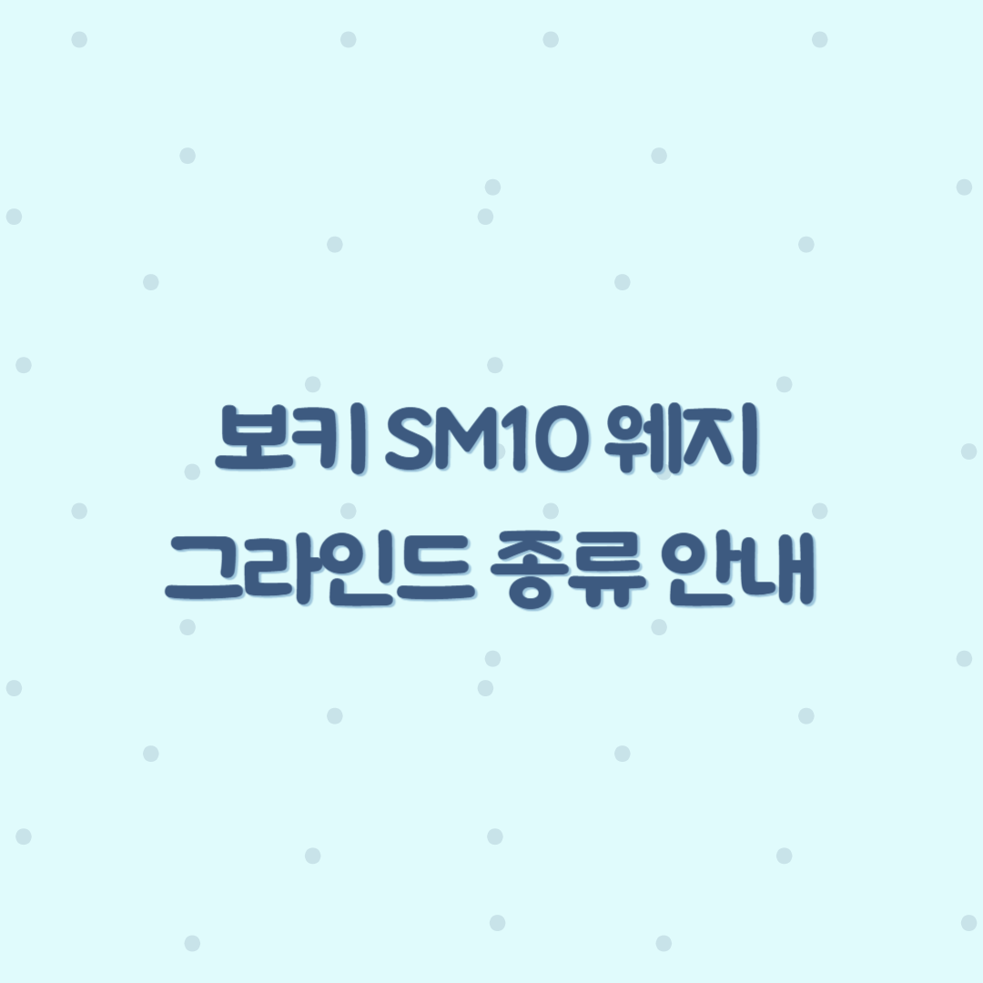 sm10 웨지 알아보기