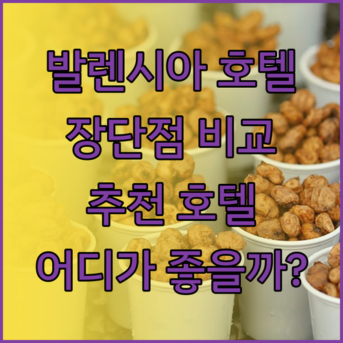 발렌시아 호텔 3곳 비교 분석.. 트