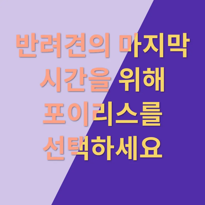 애견장례_3