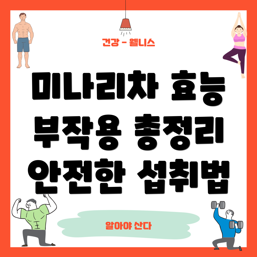 미나리차 효능