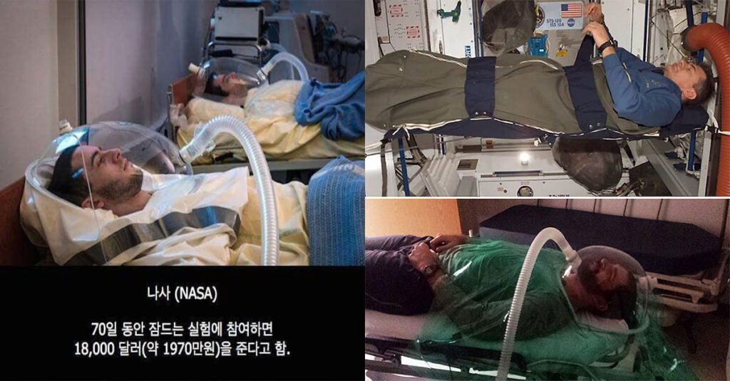  ‘NASA’ 70일 수면 알바 역대급 후기