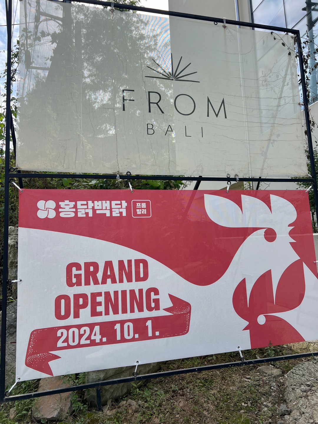 고기리 뽕잎 흑염소 이미지