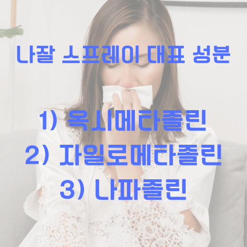 나잘스프레이_성분종류