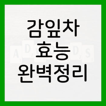 감잎차-효능-부작용-썸네일