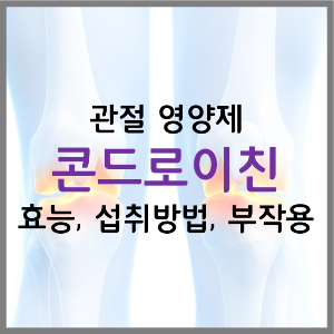  콘드로이친 관절 건강 효능 부작용 섭취방법 제품 고르는 법