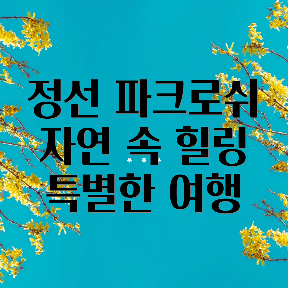 정선 파크로쉬 힐링 여행