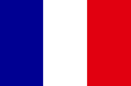 알트태그-프랑스 국기