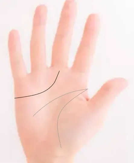 급커브의 감정선