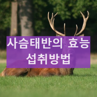 뉴질랜드 사슴태반에 대하여 알아봅시다 섭취방법 효능과 부작용