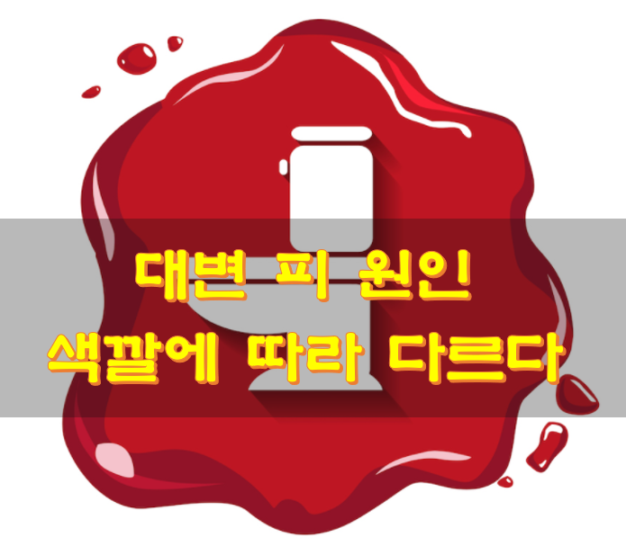  대변 피 원인 색깔에 따라 다르다