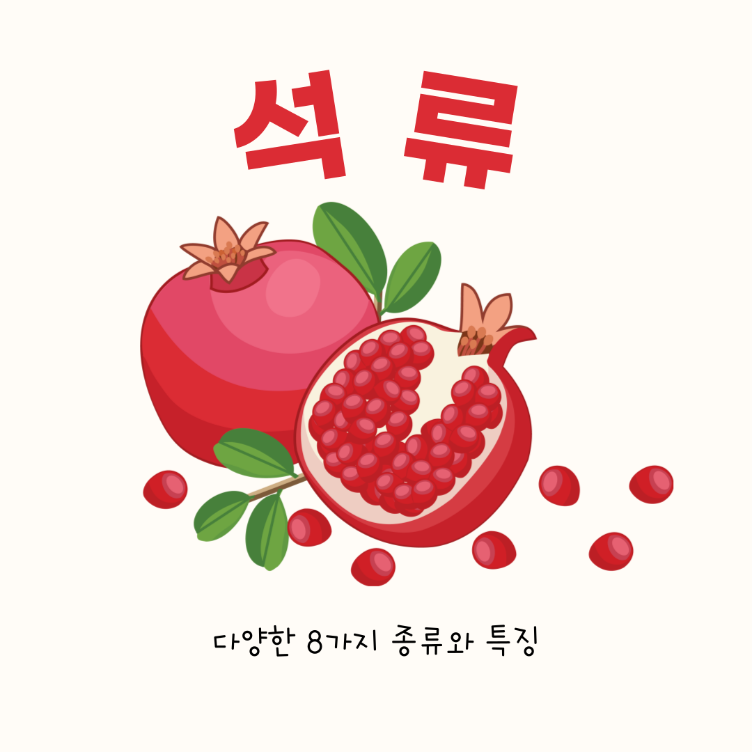 석류 8가지 : 종류와 특징