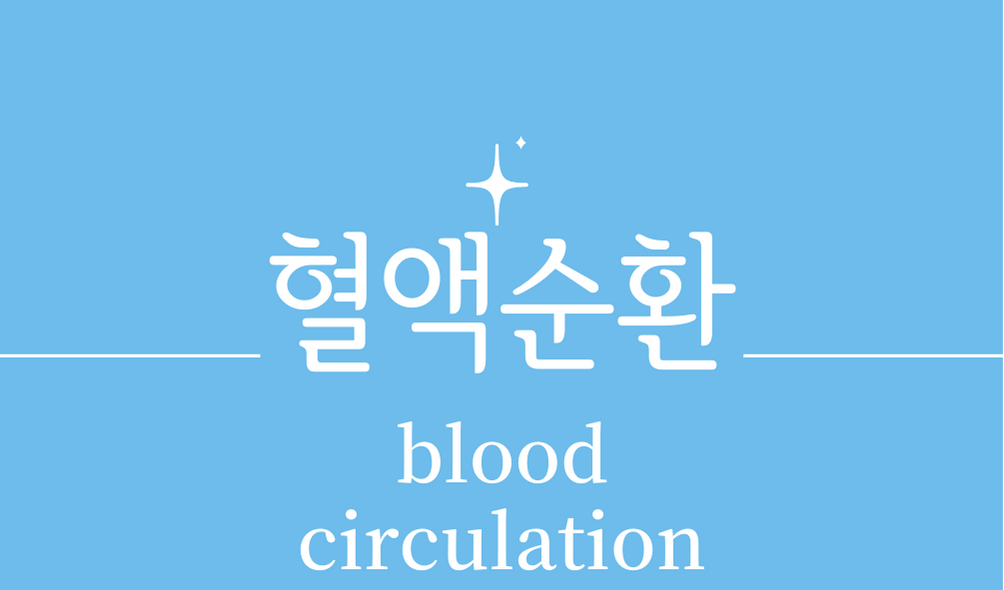 &#39;혈액순환(blood circulation)&#39;