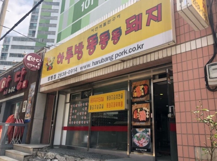 하루방똥돼지 이미지