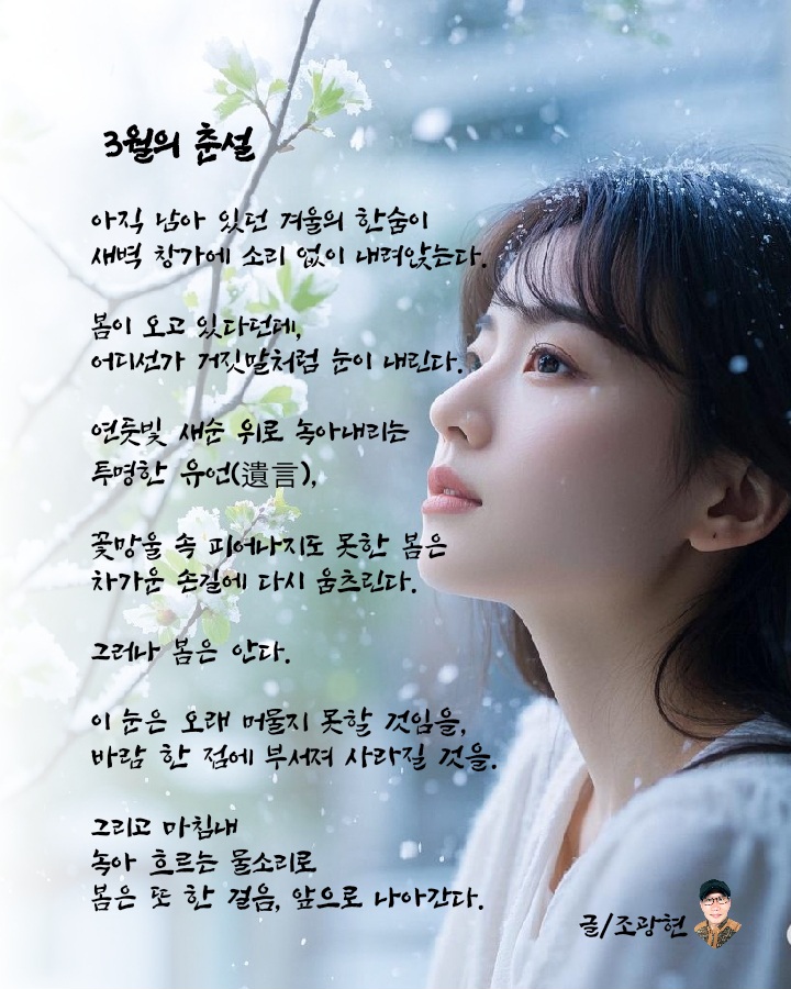 춘설 이미지