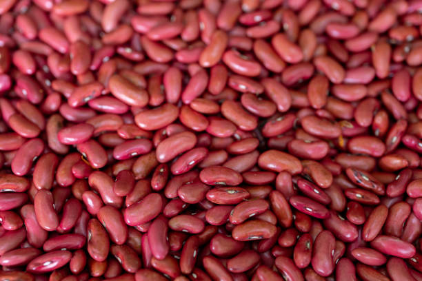 팥 효능 10가지 부작용 보관법 30