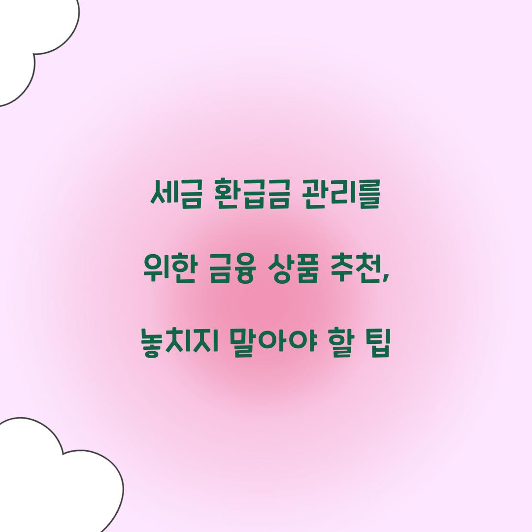 세금 환급금 관리를 위한 금융 상품 추천