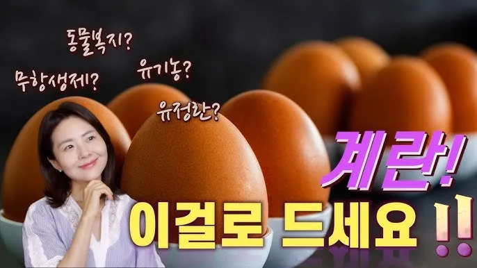 계란에 적힌 번호가 정확히 뭘까 계란 난각번호 4번 제대로 알고 먹고 있나요_1