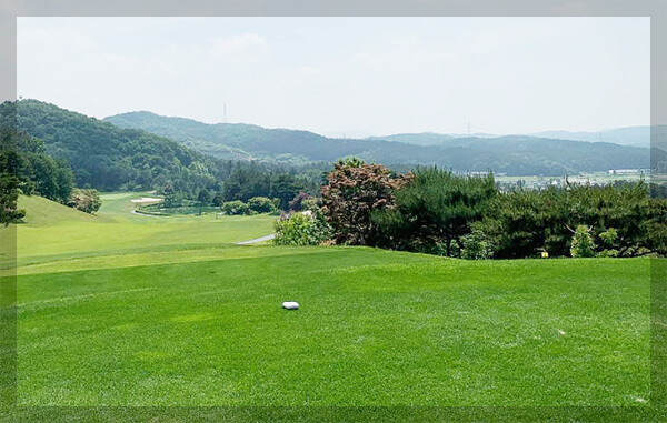 전장3