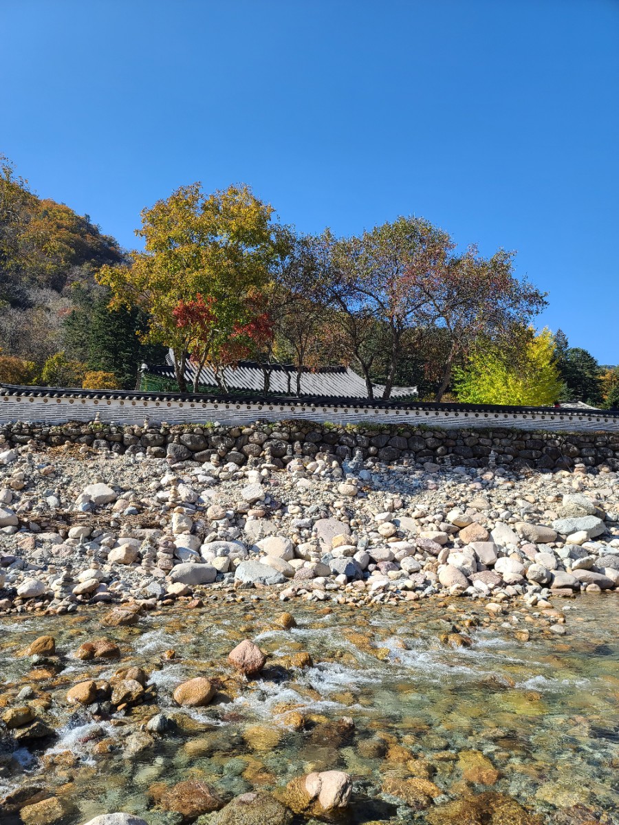 백담사 단풍 멋지다 ( 셔틀버스안내 ) 강원도 인제 여행 / 설악산 13