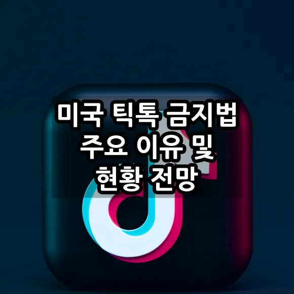 미국 틱톡 금지법 주요 이유 및 추진 배경&#44; 법안 현황&#44; 전망