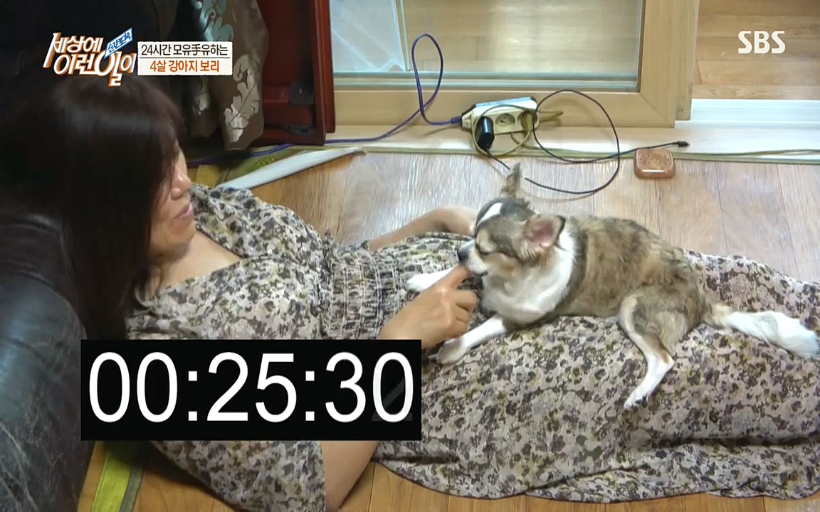 순간포착 세상에 이런일이.E1183.220608p-NEXT.mp4_20220608_201633.149.jpg