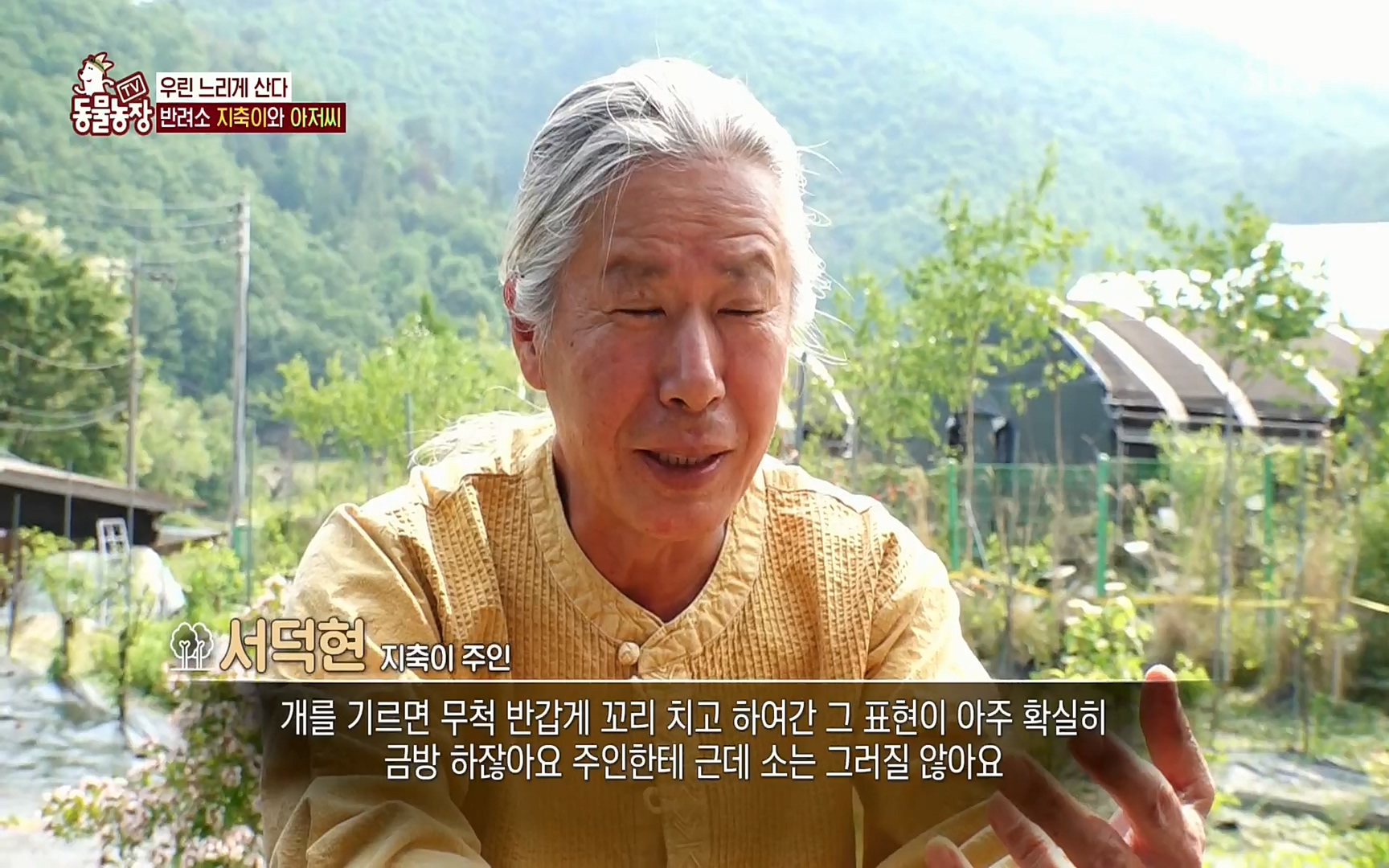 TV 동물농장.E1074.220619p.H264-F1RST.mp4_20220619_181119.456.jpg