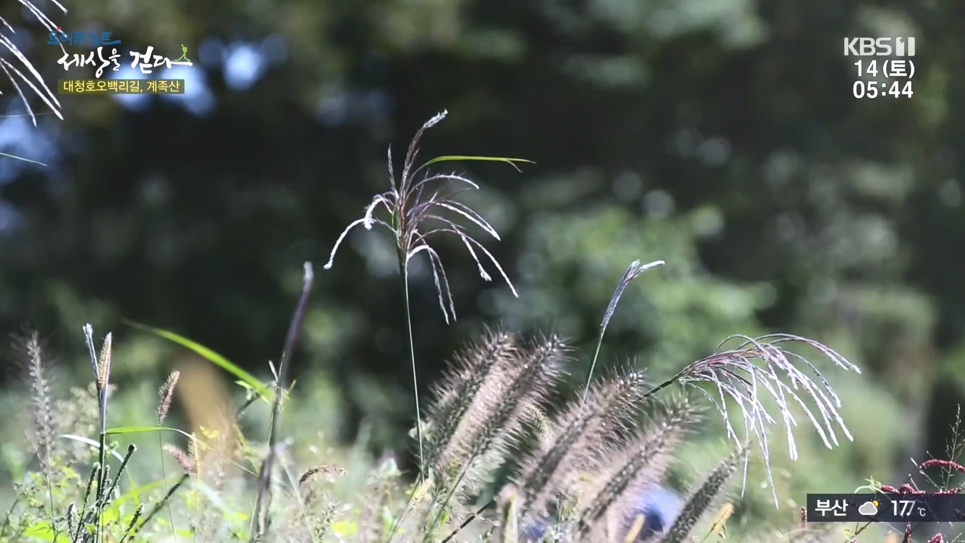 트레킹노트 세상을 걷다.E290.231014p.H264-F1RST.mp4_20231014_181406.521.jpg