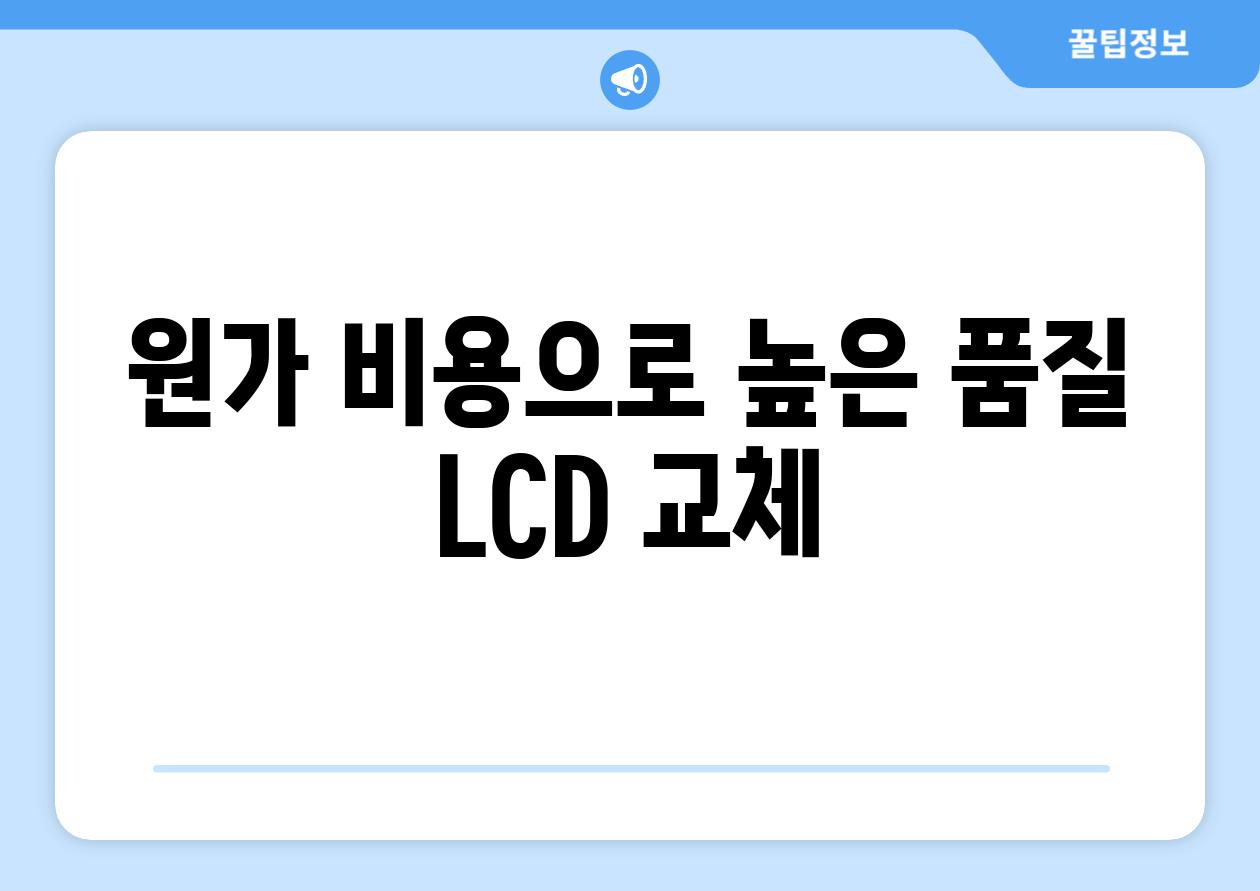 원가 비용으로 높은 품질 LCD 교체