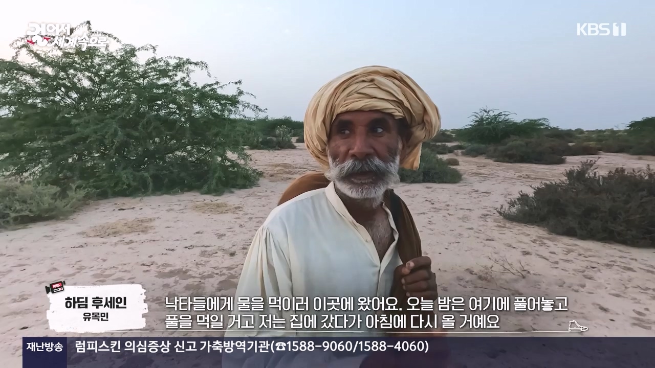 걸어서 세계속으로.E817.231112p-NEXT.mp4_20231114_213233.095.jpg