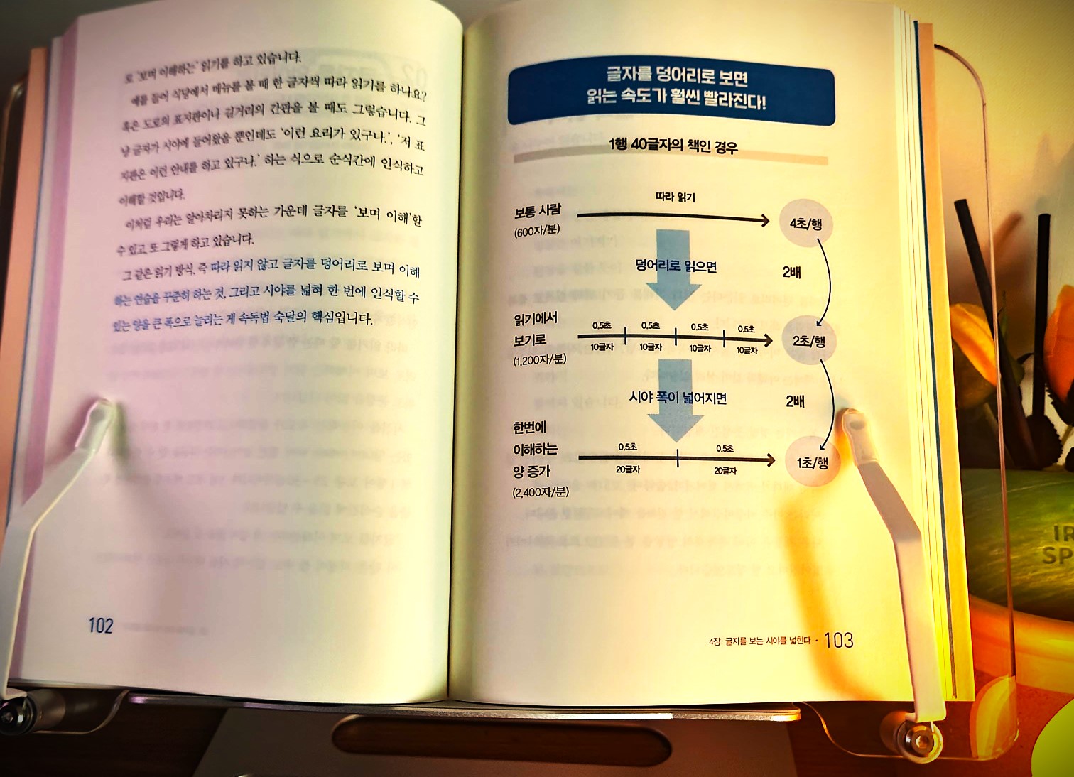 속독 독서법