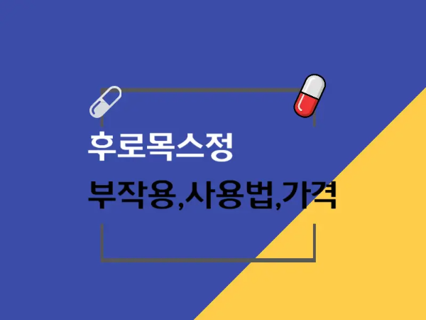 후로목스정 대표 이미지