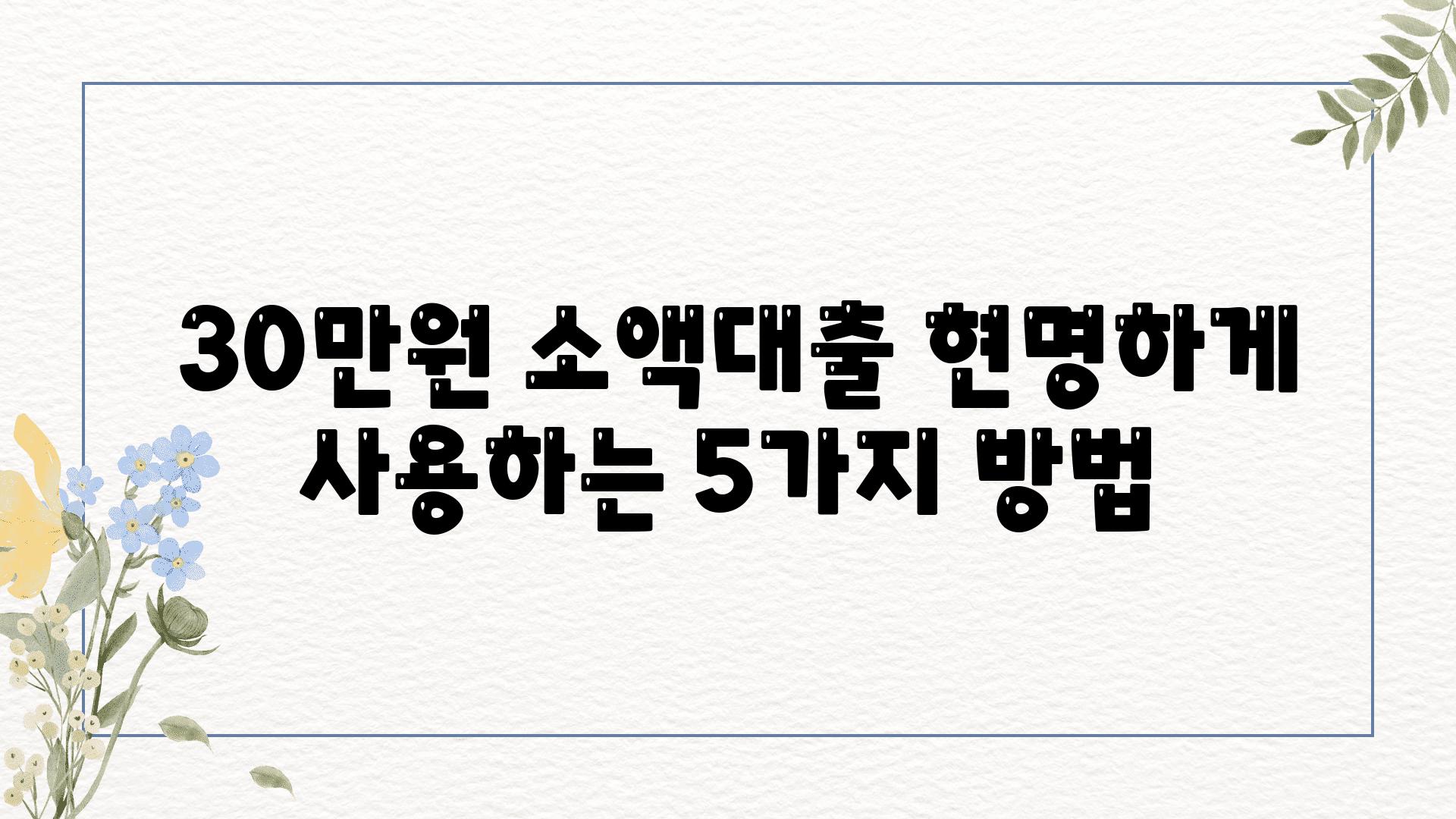  30만원 소액대출 현명하게 사용하는 5가지 방법