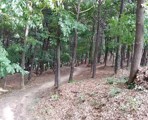 이천 온천공원