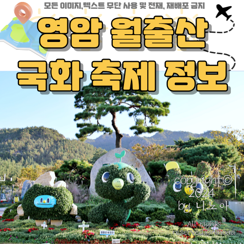 영암-월출산-국화-축제-사진